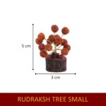 Click Pujan Rudraksh Tree - Small Beads Tree for Health, Luck & Home Décor - Image 3