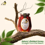 BBuzz Honey Neem Honey - Image 4