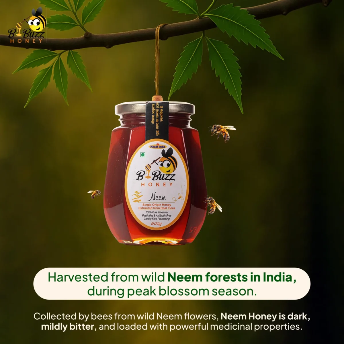 BBuzz Honey Neem Honey-2 BBuzz Honey Neem Honey-2
