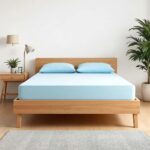 Kingfresh Mattress Firmrelief 6 Inch Non Toxic Ortho Hard with Rebounded Base HR Foam Quilted Cover