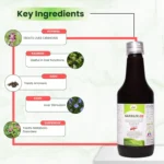 Niramya Glenliv Ds Syrup - Image 4