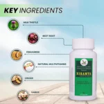 Niramya Liver Detox Capsule - Image 4