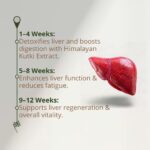 Shuddh Rasayan GUDLIV-3