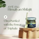 Shuddh Rasayan Himalayan Shilajit