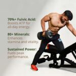 Shuddh Rasayan Himalayan Shilajit-2