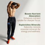 Shuddh Rasayan Himalayan Shilajit-3