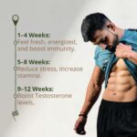 Shuddh Rasayan Himalayan Shilajit-4