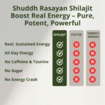 Shuddh Rasayan Himalayan Shilajit-5