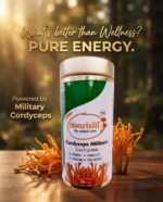 Nourislif Cordyceps Militaris (Keedajadi) – 100% Lab-Grown Himalayan Cordyceps | Energy, Stamina, Immunity Booster ...