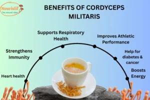 Nourislif Cordyceps Militaris (Keedajadi) on NariHaat-11