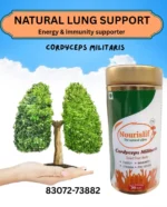 Nourislif Cordyceps Militaris (Keedajadi) – 100% Lab-Grown Himalayan Cordyceps | Energy, Stamina, Immunity Booster ...
