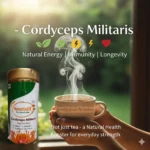Nourislif Cordyceps Militaris (Keedajadi) – 100% Lab-Grown Himalayan Cordyceps | Energy, Stamina, Immunity Booster ...