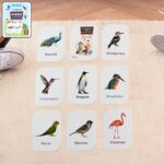 KidKraft Early Learner Educational Flashcards – 32 Birds - Closeup Embroidery by Nari Haat, Indian ethnic wear, wom...