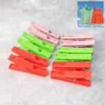 Cloth Clips Set of 12 – Strong Grip Plastic Laundry Pegs with Stainless Steel - Front View by Nari Haat, Indian eth...