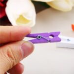 Wooden Clips for Photo Hanging & Home Decoration Pin Clips (Pack of 50) - Closeup Embroidery by Nari Haat, Indian eth...