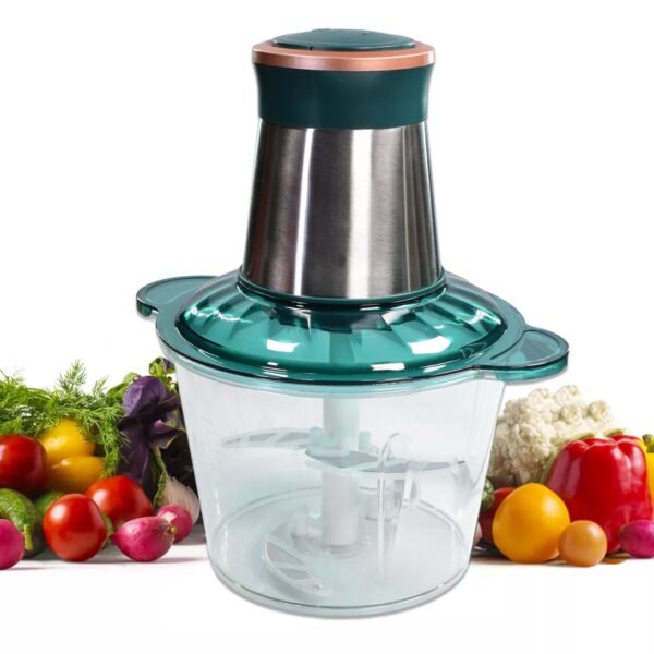 Stainless Steel Electric Meat Grinders with Bowl for Food Chopping Meat & Vegetable - Front View by Nari Haat, Indian...