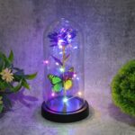 LED Preserved Rose with Colorful Butterfly in Plastic Dome (1 Pc & Mix Color) - Back View by Nari Haat, Indian ethnic...