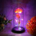 Elegant LED Eternal Rose in Plastic Dome (1 Pc / Battery Not included) - Neckline Detail by Nari Haat, Indian ethnic ...