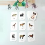 Kidkraft 32-Piece Animal Flash Cards Set - Neckline Detail by Nari Haat, Indian ethnic wear, women clothing, designer...