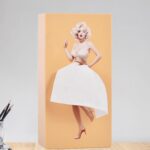 Plastic Creative Tissue Dispenser Box (1 Pc) - Neckline Detail by Nari Haat, Indian ethnic wear, women clothing, desi...