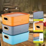 3-Piece Plastic Multipurpose Storage Basket Bin Set with Handle (3 Pcs Set) - Back View by Nari Haat, Indian ethnic w...