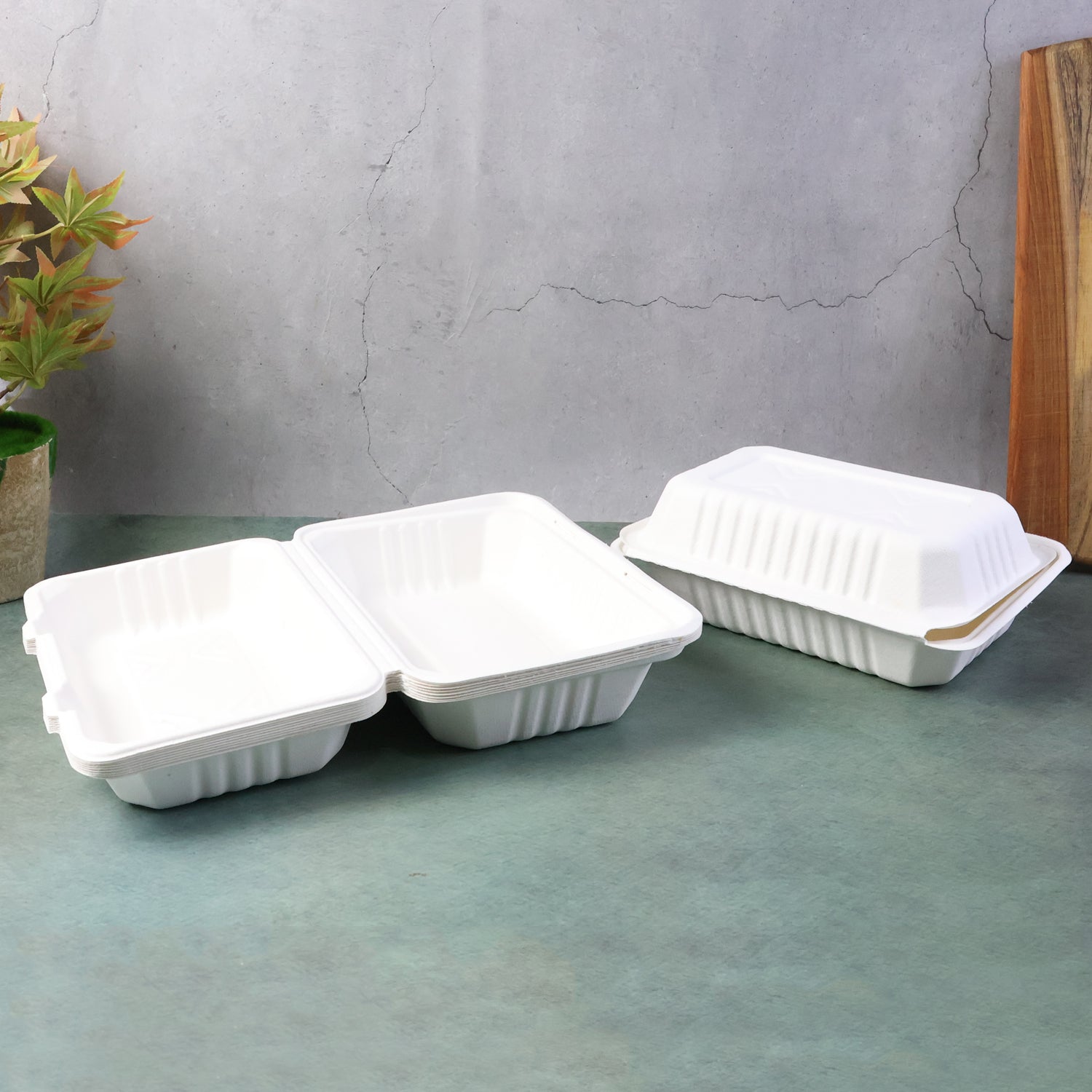 02_food-plate.jpg FresheeClamshell Takeaway Compostable Bagasse Food Box 9x6x3 Inch – 10 Pcs Pack - Front View by Nari Haat, Indian e...