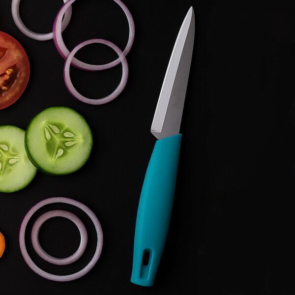 Supermom Premium Stainless Steel Kitchen Utility Knife, Chhari  (1 Pc) - Front View by Nari Haat, Indian ethnic wear,...