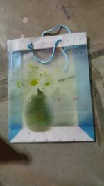 Plastic Transparent Bag With Handle (1 Pc / 34 x 26 Cm) - Full Detail by Nari Haat, Indian ethnic wear, women clothin...