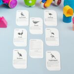 KidKraft Early Learner Educational Flashcards – 32 Birds - Back View by Nari Haat, Indian ethnic wear, women clothi...
