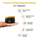 Himalayan Shilajit Gold Resin – 20g | Helps improve Stamina | Contains Gold - Back View by Nari Haat, Indian ethnic...