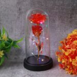Elegant LED Eternal Rose in Plastic Dome (1 Pc / Battery Not included) - Front View by Nari Haat, Indian ethnic wear,...