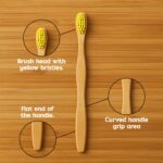 Eco-Friendly Natural Bamboo Toothbrush with Medium Bristles (1 Pc) - Closeup Embroidery by Nari Haat, Indian ethnic w...