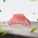 Hair Claw Clips Set for Women & Girls (Mix Design,  Multicolor & 12 Pc) - Closeup Embroidery by Nari Haat, Indian eth...