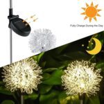 Solar Powered Dandelion Garden Lights (2 Pc) - Neckline Detail by Nari Haat, Indian ethnic wear, women clothing, desi...