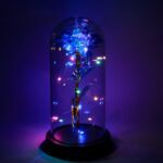 LED-Powered Eternal Rose in plastic Dome (1 Pc / Battery not Included) - Closeup Embroidery by Nari Haat, Indian ethn...