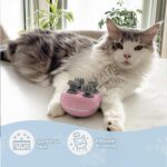 Smart Electric Scalp Massager (1 Pc) - Full Detail by Nari Haat, Indian ethnic wear, women clothing, designer suit