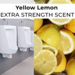 Urinal Screen Deodorizer Mat (2 Pc Set) - Back View by Nari Haat, Indian ethnic wear, women clothing, designer suit