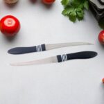 Premium Curved Serrated Stainless Steel Kitchen Knife Set (Mix Color & 2 Pc) - Back View by Nari Haat, Indian ethnic ...