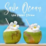 Paper Straw – Plain 6 mm Diameter, 200 mm Length, 50 Pcs Pack - Closeup Embroidery by Nari Haat, Indian ethnic wear...