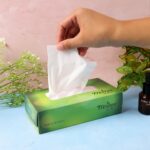 Freshee Premium Skin-Friendly Facial Tissues — 100 Pc Box (18 x 20 cm) - Closeup Embroidery by Nari Haat, Indian et...