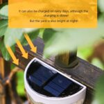 6 LED Solar Powered Wall Mount Fence Light with Honeycomb Shade Design (2 Pc Set) - Back View by Nari Haat, Indian et...