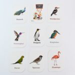 KidKraft Early Learner Educational Flashcards – 32 Birds - Neckline Detail by Nari Haat, Indian ethnic wear, women ...