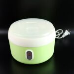 Green Electric Yogurt Maker for Household and Kitchen Use - Neckline Detail by Nari Haat, Indian ethnic wear, women c...