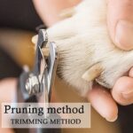 Pet Nail Clipper and Nail File Grooming Kit for Dogs and Cats (Mix Color / 2 Pc) - Full Detail by Nari Haat, Indian e...