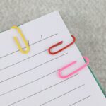 Vinyl-Coated Paper Clips - (10 Pc / Set) - Neckline Detail by Nari Haat, Indian ethnic wear, women clothing, designer...