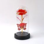 Elegant LED Eternal Rose in Plastic Dome (1 Pc / Battery Not included) - Sleeve Design by Nari Haat, Indian ethnic we...