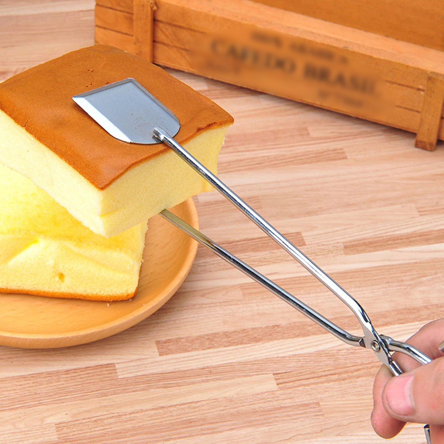 Stainless Steel Cooking Tongs for Salad