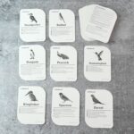 KidKraft Early Learner Educational Flashcards – 32 Birds - Fabric Detail by Nari Haat, Indian ethnic wear, women cl...