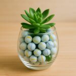 Classic Glass Marbles Pack of Approx 30 Pc - Back View by Nari Haat, Indian ethnic wear, women clothing, designer suit