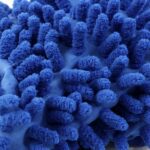 Microfiber Wash Mitt / Multipurpose Cleaning Glove (1 Pc) - Back View by Nari Haat, Indian ethnic wear, women clothin...